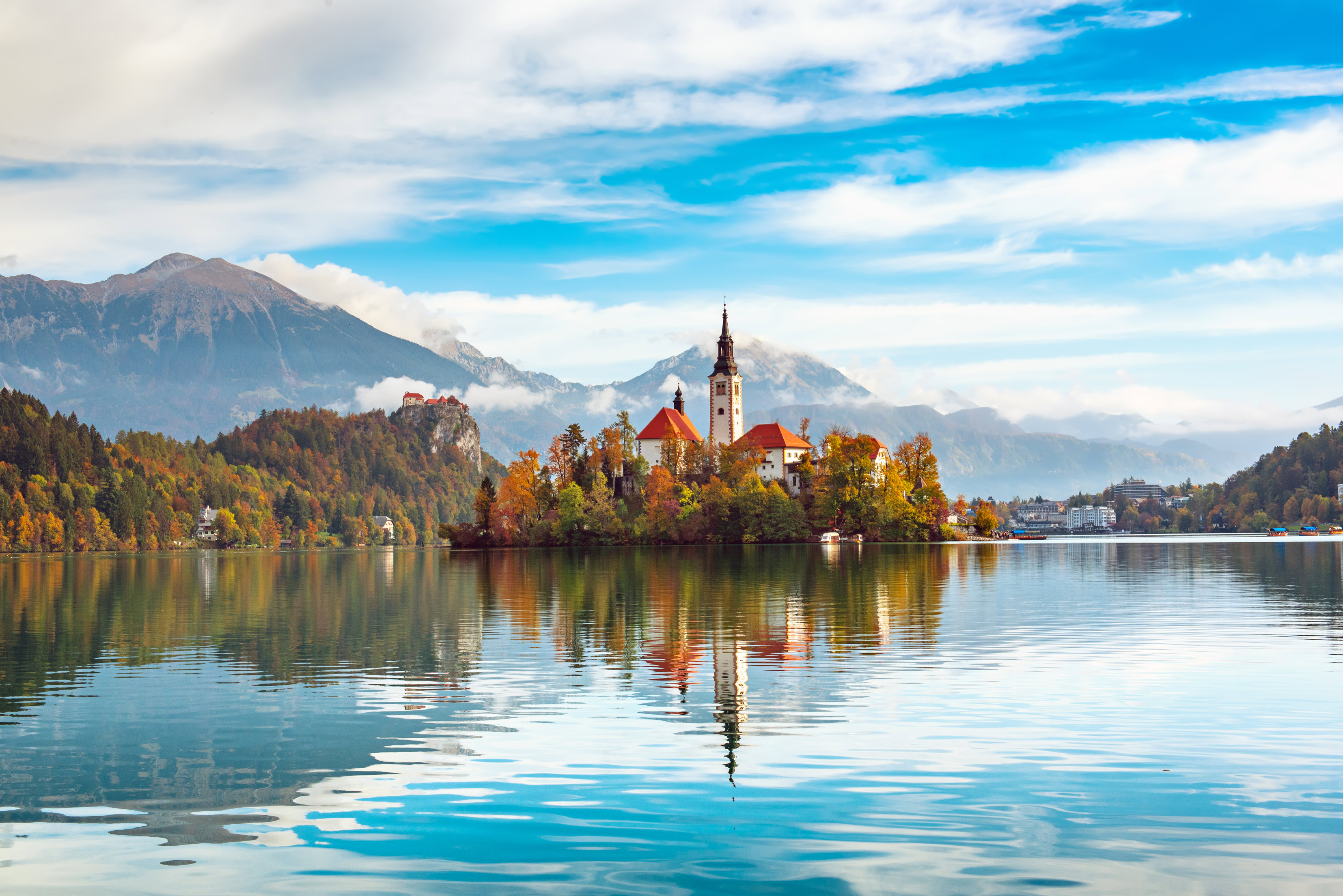 Schloss auf See mit Wald