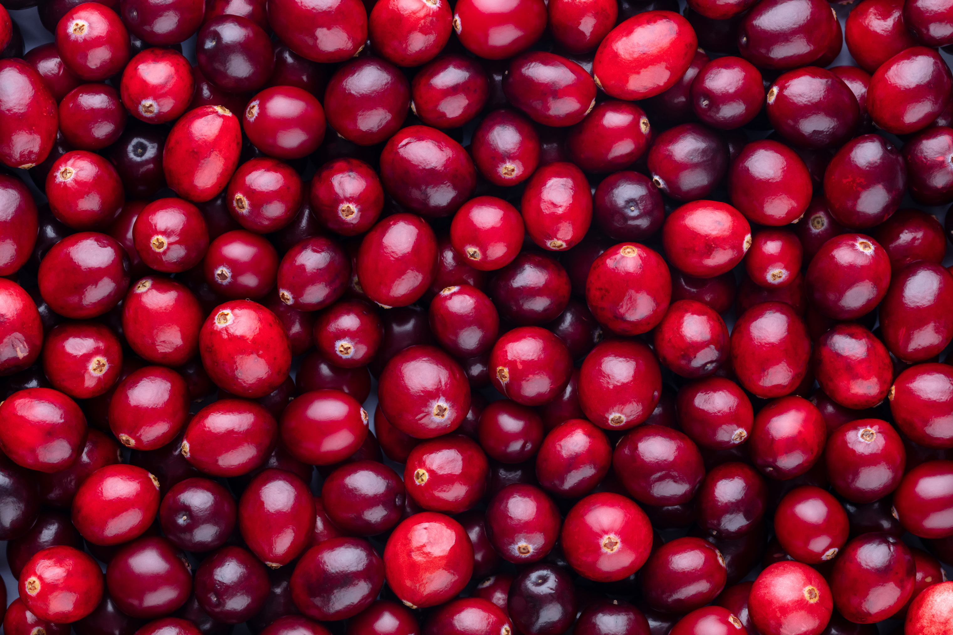 Cranberry