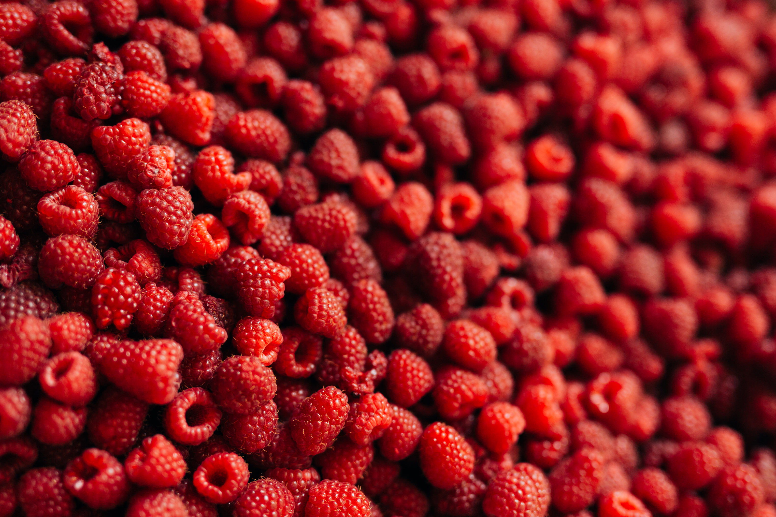 Himbeeren