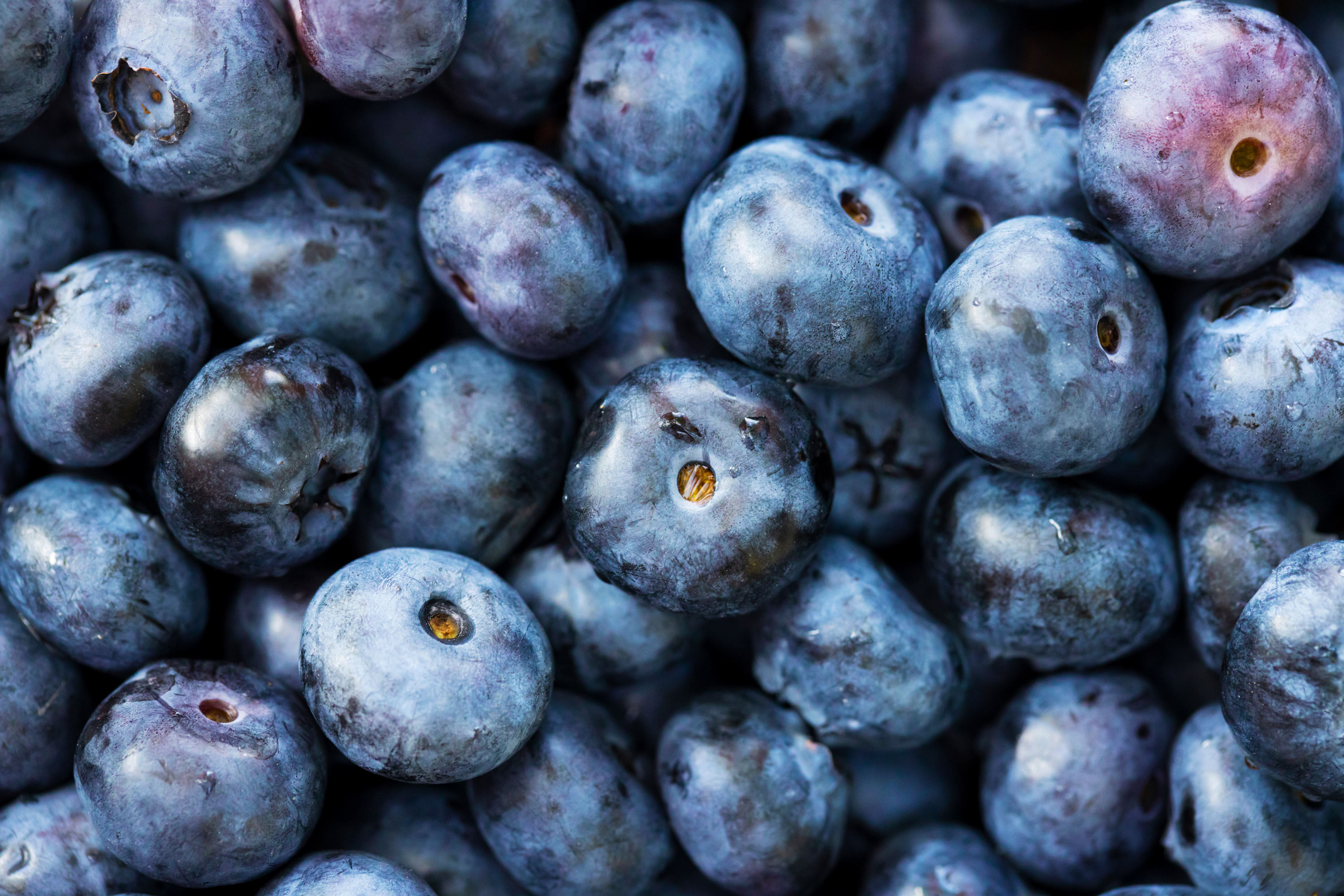 Blaubeeren