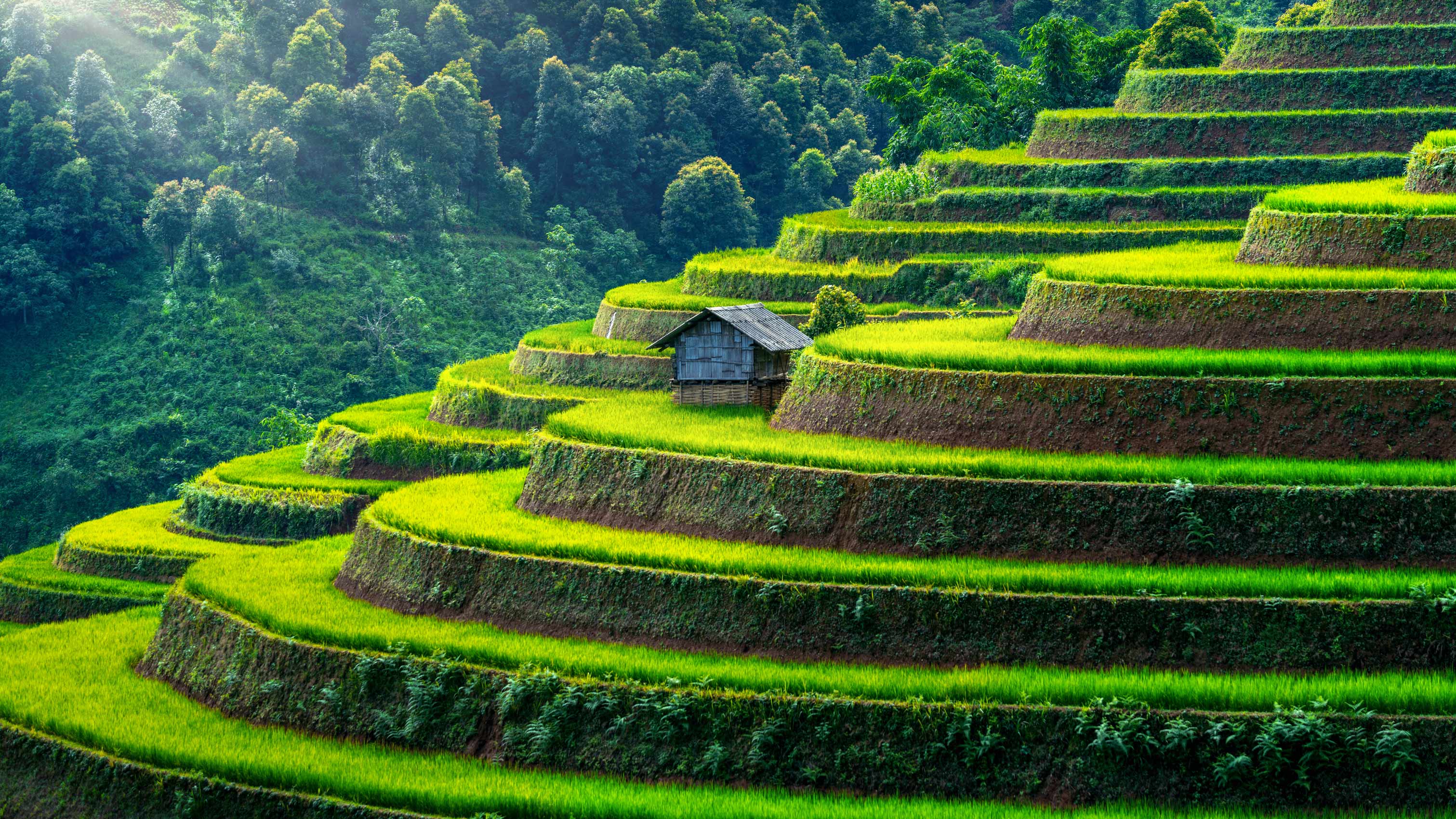 Hanoi